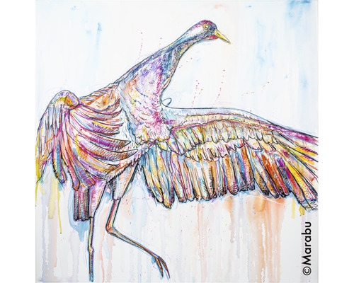 Ilustrație a unei cocori cu aripile desfăcute