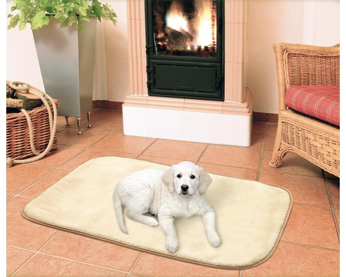 Covor de culoare deschisă cu un cățeluș în fața unui șemineu.