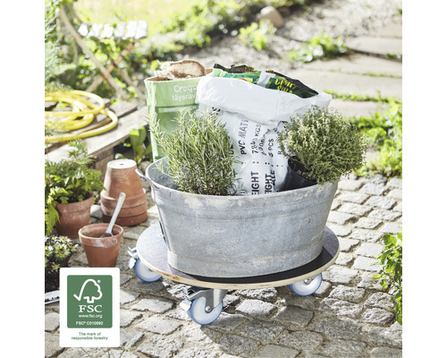 Scândură cu rotile cu plante și accesorii de grădină în aer liber