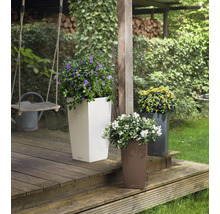 Trei ghivece înalte cu flori colorate pe o terasă de lemn