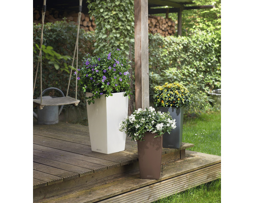 Trei ghivece înalte cu flori colorate pe o terasă de lemn