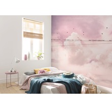 Fototapet vlies P017-VD4 Pure Cloud Wire 400x250 cm