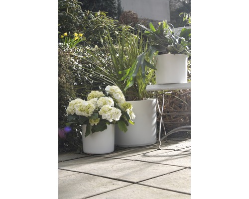 Plante decorative în ghivece rotunde în grădină