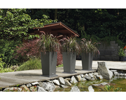 Trei jardiniere cu iarbă ornamentală în grădină