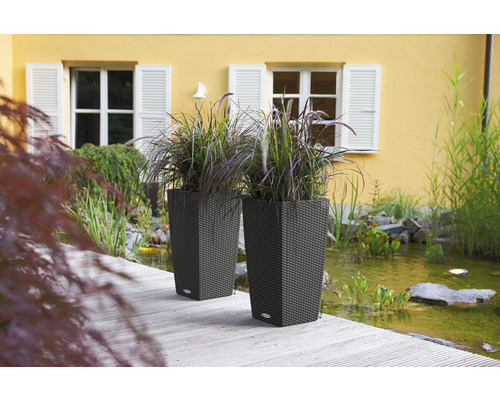 Două jardiniere cu plante lângă un iaz