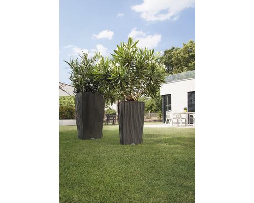 Două jardiniere înalte cu plante în grădină