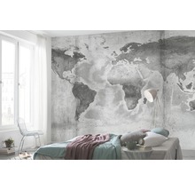 Fototapet vlies P039-VD5 Concrete World 500x250 cm