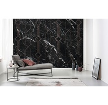 Fototapet vlies P040-VD4 Pure Marble Black 400x250 cm