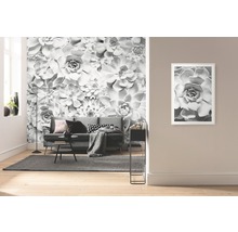 Fototapet vlies P962-VD4 Pure Shades Black and White 400x250 cm