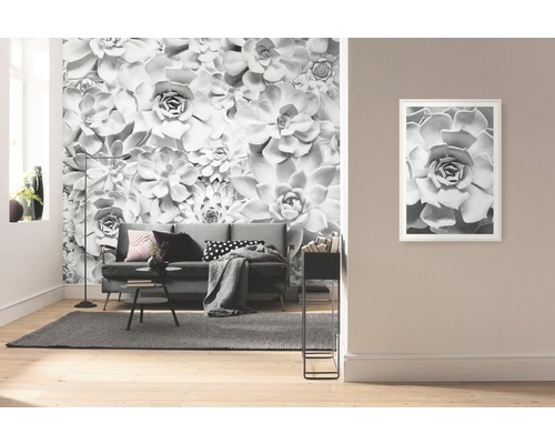 Cameră de zi cu fototapet cu motiv suculent și imagine înrămată