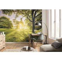 Spațiu de locuit cu un fototapet care prezintă un peisaj cu copaci și lumina soarelui, creând o atmosferă luminoasă și naturală