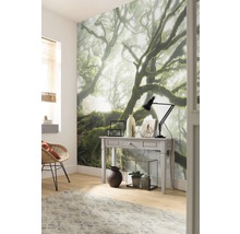 Cameră decorativă cu fototapet, masă și covor pentru o atmosferă confortabilă