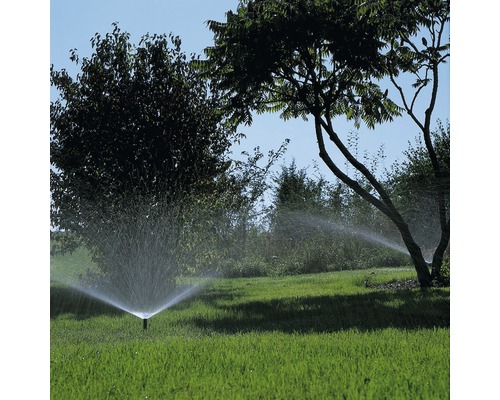 Irigarea gazonului cu aspersor de gazon în grădină