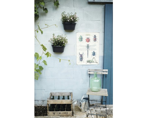 Grădină decorativă cu jardiniere de perete, poster cu insecte, cutii de vin, stropitoare și sticlă de sticlă