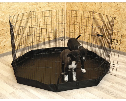 Țarc cu ușă și doi căței