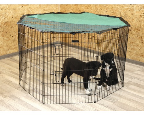 Țarc din sârmă pentru căței, cu plasă superioară și doi căței în interior.