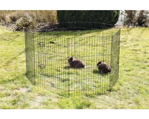 Țarc metalic de exterior cu doi iepuri în grădină.