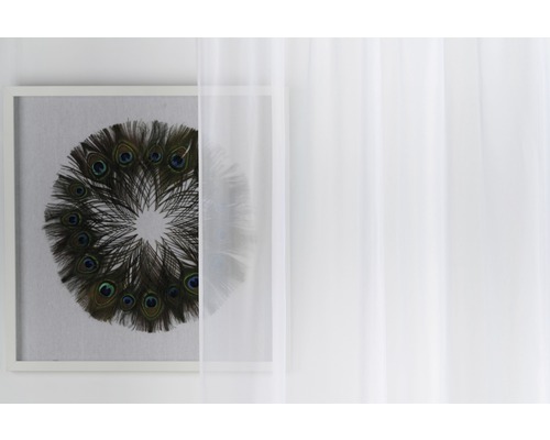 Perdea decorativă în fața unei imagini înrămate cu pene de păun