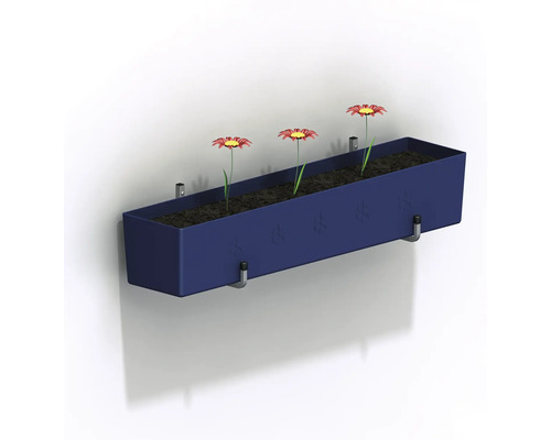 Jardinieră de perete albastră cu trei margarete roșii