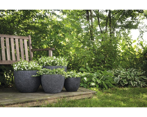 Scenă de grădină cu flori în jardiniere pe o terasă de lemn sub un copac