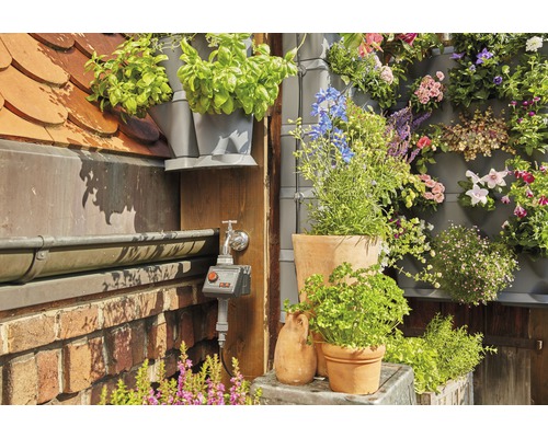 Sistem de irigare automată pentru plante într-o grădină cu ghivece și grădini verticale.