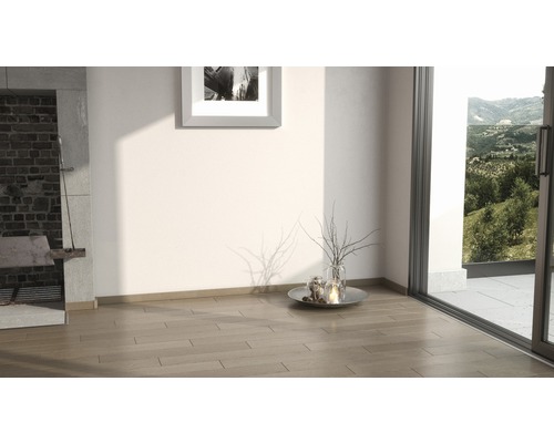 Cameră luminoasă cu podea din lemn, șemineu și vedere spre exterior