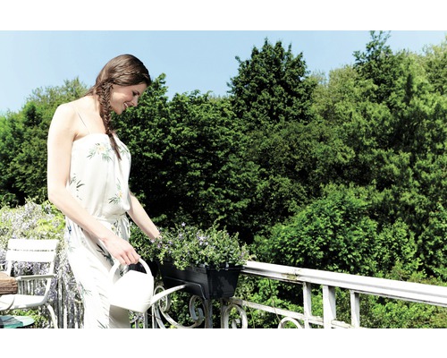 Femeie udă flori pe un balcon cu o stropitoare