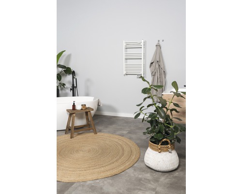 Baie cu cadă, radiator pentru prosoape, covor rotund și plante de interior