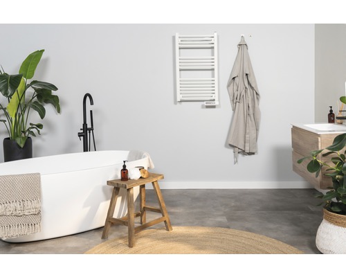 Baie modernă cu cadă, chiuvetă, calorifer portprosop și decorațiuni.