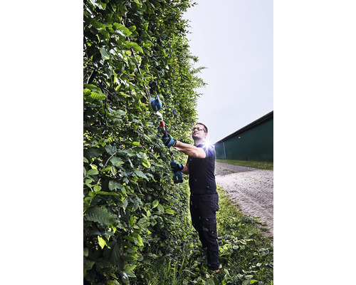 Bărbat taie gardul viu cu o foarfecă de gard viu