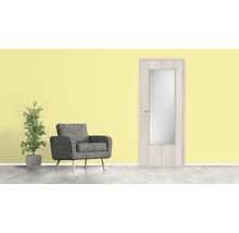 Scenă cu ușă de interior cu inserție de sticlă, fotoliu și plantă de interior