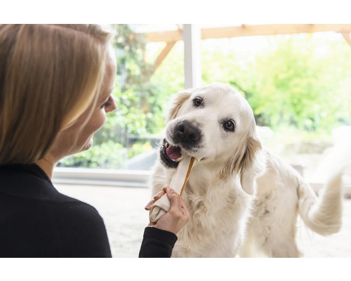 Femeie hrănind câinele cu un os