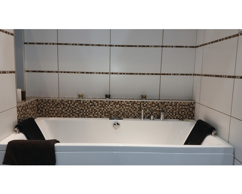 Baie cu cadă, perete cu faianță și elemente decorative