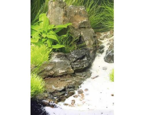 Aranjament decorativ pentru acvariu cu pietre, nisip și plante