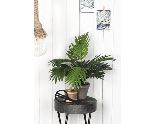 Scenă decorativă cu plantă de interior, bobină de ață și foarfece pe o masă