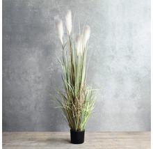 Planta artificială, Stipa, 81 cm, albă-thumb-9