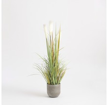 Plantă artificială, Stipa Foxtail, verde-thumb-5
