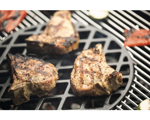 Carne și legume pe un grătar