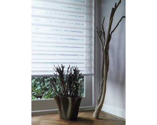 Fereastră cu rulou dublu și decor