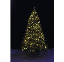 Brad împodobit cu lumini