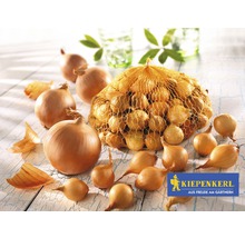 Ceapă și semințe de ceapă într-o plasă cu sigla Kiepenkerl