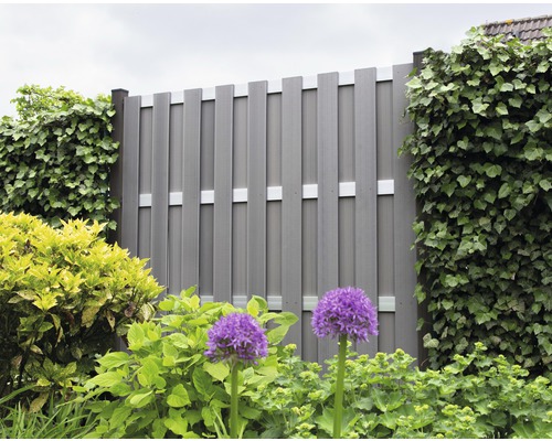 Vedere de grădină cu paravan de confidențialitate gri și plante