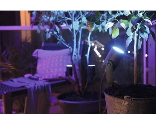 Scenă de grădină cu plante în ghivece iluminate cu reflectoare
