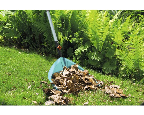 Grădină cu greblă de frunze și frunze de toamnă