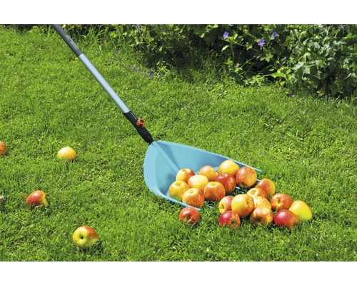 Culegător de mere cu mere pe un gazon