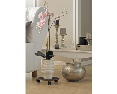 Interior decorativ cu plantă, ghiveci, lumânări și canapea