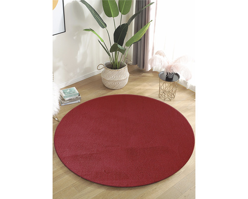 Covor rotund pe o podea de lemn, lângă o plantă de interior.