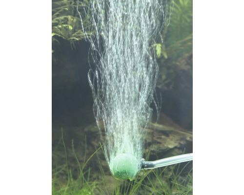 Piatră de aerare în acvariu pentru oxigenare