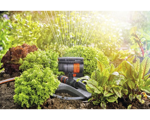 Aspersor Gardena în funcțiune pentru irigarea grădinii între plante