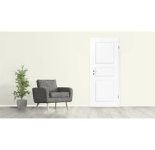 Scenă de living cu fotoliu, plantă de interior și ușă interioară